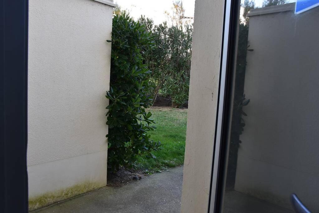 Les Goelettes - Appartement en RDC avec accès direct à la plage Saint-Cyprien  Extérieur photo