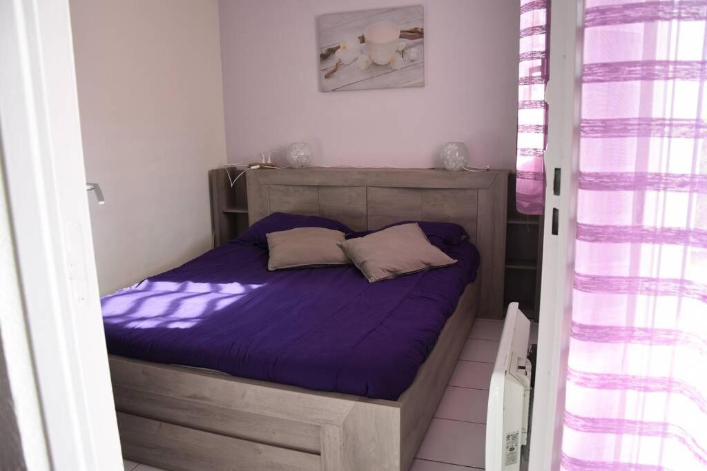 Les Goelettes - Appartement en RDC avec accès direct à la plage Saint-Cyprien  Extérieur photo