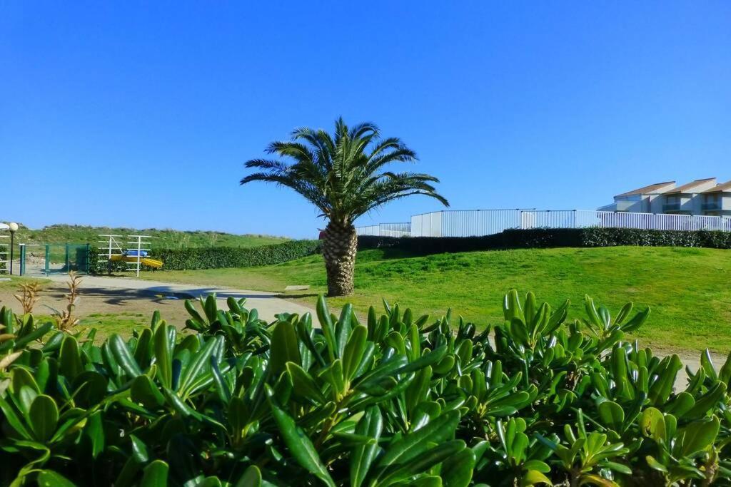 Les Goelettes - Appartement en RDC avec accès direct à la plage Saint-Cyprien  Extérieur photo